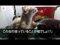 【スカッとする話】里帰り出産を終え家に帰ると義妹が「お義姉さんの荷物は捨てたwまた実家に帰ったら？w」私「あら、いいの？」義妹「え？」→だって夫は 【感動する話】