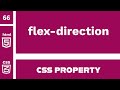 CSS Property : flex-direction explained !
