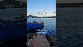 ســــورة يونـــس (56-57) ♡ عبد الرحمان مسعد ♡