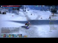 tera priest skills