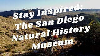 Balboa Park to You - Stay Inspired: The San Diego Natural History Museum