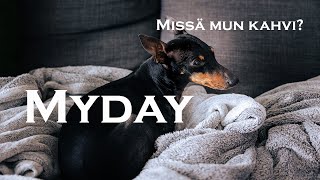 Myday | Meille tuli kahvin nälkäinen pikku vieras!