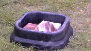 Clean Salt & Mineral Blocks - Keep Salt Blocks Out of Sun - Helping Horses - Rick Gore Horsemanship