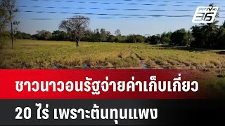 ชาวนาวอนรัฐจ่ายค่าเก็บเกี่ยว 20 ไร่ เพราะต้นทุนแพง| เที่ยงทันข่าว | 5 ธ.ค. 67