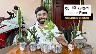 ரூ 50 முதல் Online Indoor Budget Friendly Plants | All India Door Delivery | Prasanth360