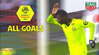 Goals compilation : Week 20 / Ligue 1 Conforama 2018-19