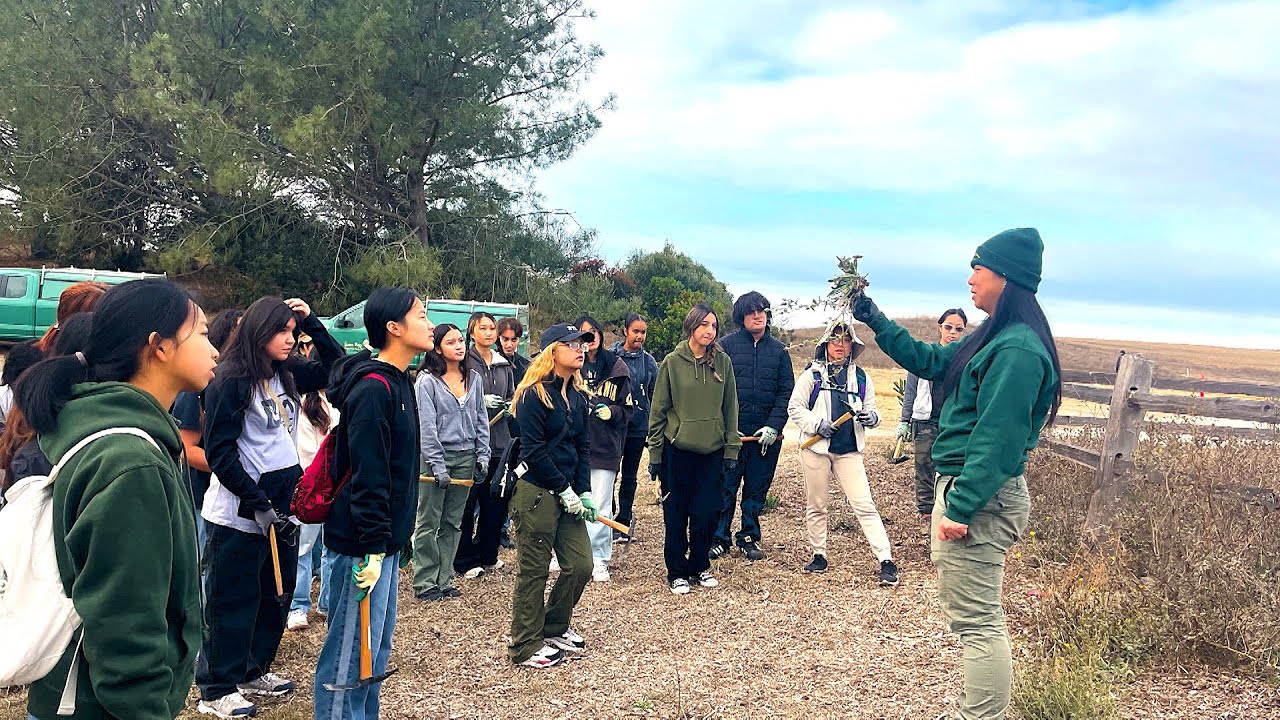 Earthteam The Missing Link In Stem Youtube