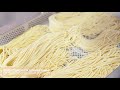 combined fresh pasta machine magnifica 50 e mac professional