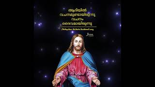 ആദിയിൽ വചനമുണ്ടായിരുന്നു വചനം ദൈവമായിരുന്നു 🙏🏼#christan #devotional #christain #jesuschrist #god