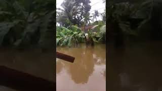 Trishur ettumuna floods