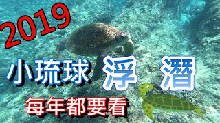 [小琉球]每年都要來浮潛看海龜一下-2019小琉球