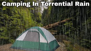 Camping In The Rain, Heavy Rainstorm, Tent, Forest, ASMR