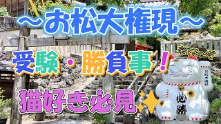 【神社】　猫神神社で有名な「お松大権現」に行ってみたら本当に猫だらけでびっくりした！　【徳島県神社】