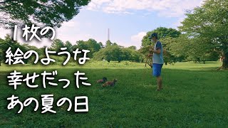 【18歳と15歳老犬カニンヘンダックスVlog】シドの日2023年1月　６回目の月命日　ソラとシドの可愛さを眺める少しの時間をください