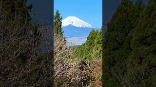 20231119静岡県三島市　山中城から見た富士山#山中城#後北条氏#富士山#中世山城#静岡県三島市