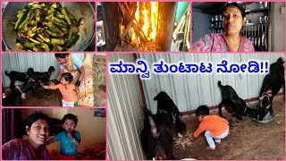 #ಹಳ್ಳಿಯಲ್ಲಿ ನನ್ನ ಮಾರ್ನಿಂಗ್ ರೂಟೀನ್ | ಹಳ್ಳಿ ಶೈಲಿಯಲ್ಲಿ ಸೌತೆಕಾಯಿ ಪಲ್ಯ್ | Shweta Kannada vlogs