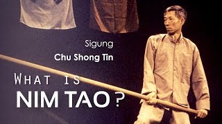 The Nature of 'Nim Tao' | Chu Shong Tin Wing Chun