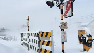 特急おおぞら1号 札内駅付近