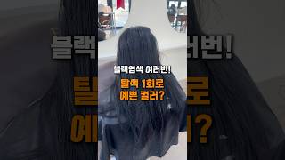 탈색 1회로 블랙 지우기? #블랙빼기 #탈색 #레드염색 #염색 #쿨레드