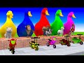 5 Giant Duck Cartoon Monkey,Piglet,Sheep,Dog,Kakuru Paint Wild Animals Crossing Fountain Animation