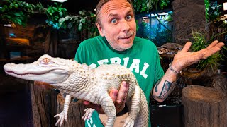 MORE ALBINO ALLIGATOR ISSUES TO TRY TO FIX!!! | BRIAN BARCZYK