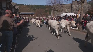 Santo Stefano d'Aveto: festa della transumanza tra sfilate, cibo e musica