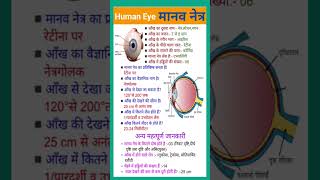 मानव आँख के बारे में सचित्र वर्णन//Human Eye //मानव आँख 👁️👁️🙏🙏