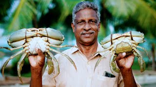 ഞണ്ട് കൃഷി A to Z അറിയേണ്ടതെല്ലാം | Mud Crab Farming
