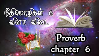 Proverbs chapter 6 - நீதிமொழிகள் 6 ஆம்  அதிகாரம் வினா விடை #bible #proverbs6 #நீதிமொழிகள்