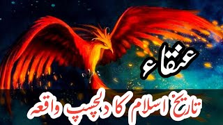 History of Anqa bird in Islam | Hazrat Hanzala | Mythology of Griffin Brid | Islam| Malik Factopedia