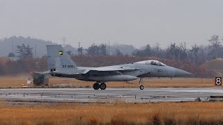 JASDF (Japan Air Self Defense Force) 306SQ McDonnell Douglas F-15J Eagle