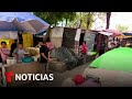 Le dicen 'la pequeña Venezuela' y es un campamento migrante en Ciudad de México | Noticias Telemundo