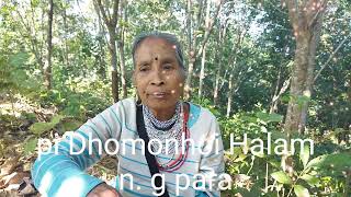 pi Dhomonhoi Halam n. g para