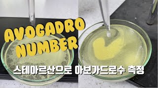 [공동교육과정] Lab 1. 스테아르산을 이용한 아보가드로수의 측정(고등학교 화학 실험)