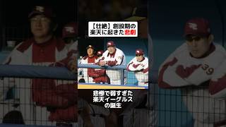 【壮絶】創設期の楽天に起きた悲劇 #野球ネタ #プロ野球 #楽天 #岩隈久志 #イーグルス #壮絶 #田尾安志