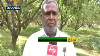 JaiKisan TS | 1st Jun '17 | విపణి కష్టాల్లో పాలమూరు మామిడి రైతులు