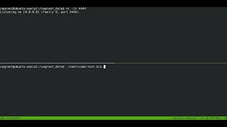 Reverse TCP shell authentication