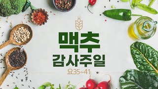 2021년 07월 04일 맥추 감사주일