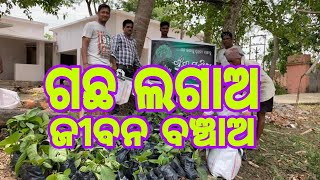 Plantation ଗଛ ଲଗାଅ ଜୀବନ ବଞ୍ଚାଅ @swotantranewsodia4069 #environment #plantation #bhadrak #odisha