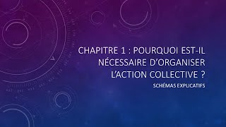 MANAGEMENT - 1ERE : Chapitre 1 - Pourquoi est-il nécessaire d'organiser d'action collective ?