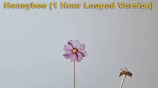 TWEYES - Honeybee [1 Hour Loop Version] HQ