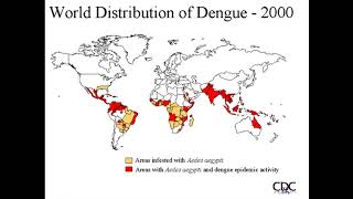 Lecture 12 part 6: Yellow Fever Dengue Zika