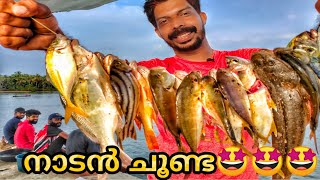 നാടൻ ചൂണ്ടയിട്ടു മീൻ പിടിത്തം| Kerala Fishing