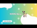 KDOG News Live Stream