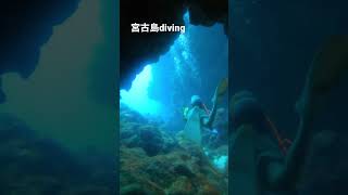 【これぞ宮古島diving】宮古島は地形divingで有名。このような洞窟を潜っていきます。#diving #okinawa #gopro #ダイビング #宮古島 #宮古ブルー #travel