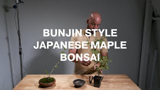 Making a Bunjin Style Bonsai with a Japanese Maple | by Owen Reich