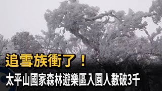 追雪族衝了！太平山國家森林遊樂區入園人數破3千－民視新聞