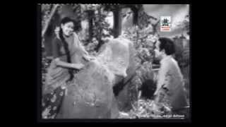 Tamil Old--sentamizh Naattu Cholaiyile Vmv--sugam Enghe 1954