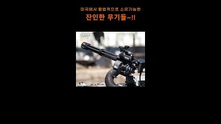 미국에서 합법적으로 소유가능한 무시무시한 무기들!!