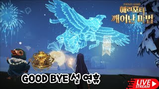 각자의 자리에서 다들 파이팅! Daily Duelling [해리포터 : 깨어난 마법] | Harry Potter Magic Awakened] | 哈利波特·魔法覺醒